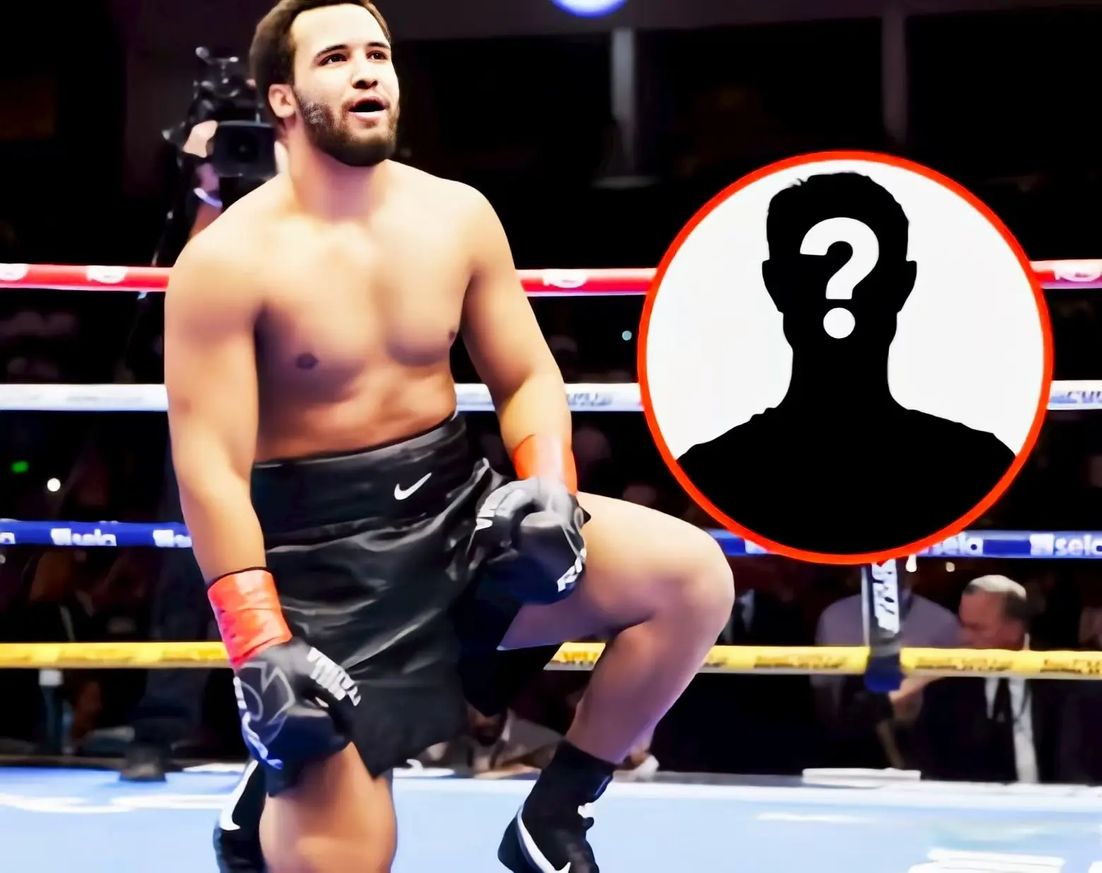 尽管有报道, 挑战将是疯, 泰森