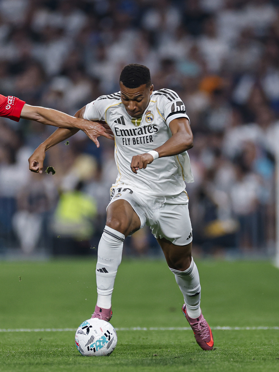 margi, 对手防线, 赛季取得更